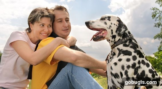 Couple with Dalmatian Dog