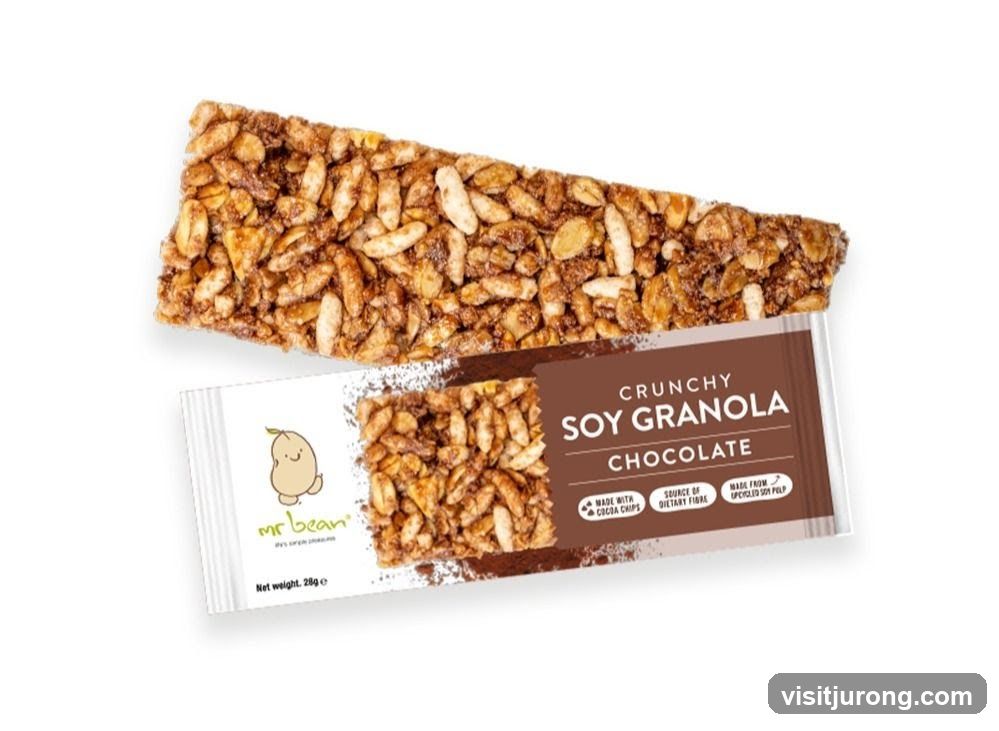 Chocolate Soy Granola Bar