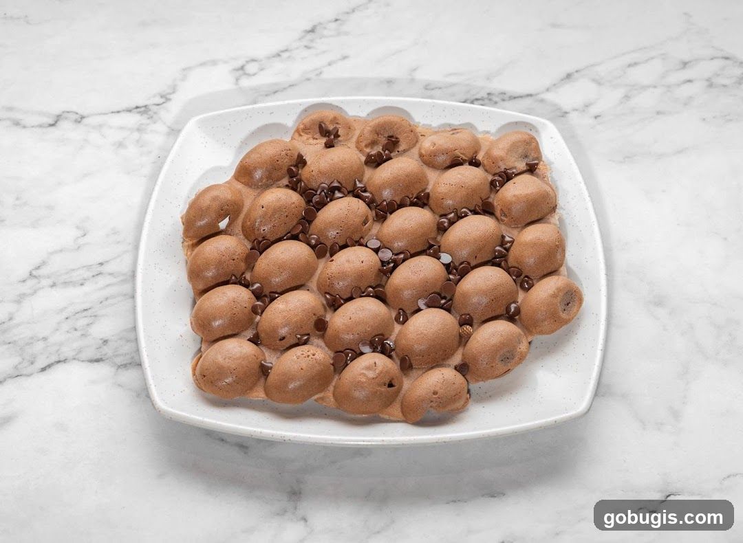 Chocolate Bubble Waffle with Chocolate Chips