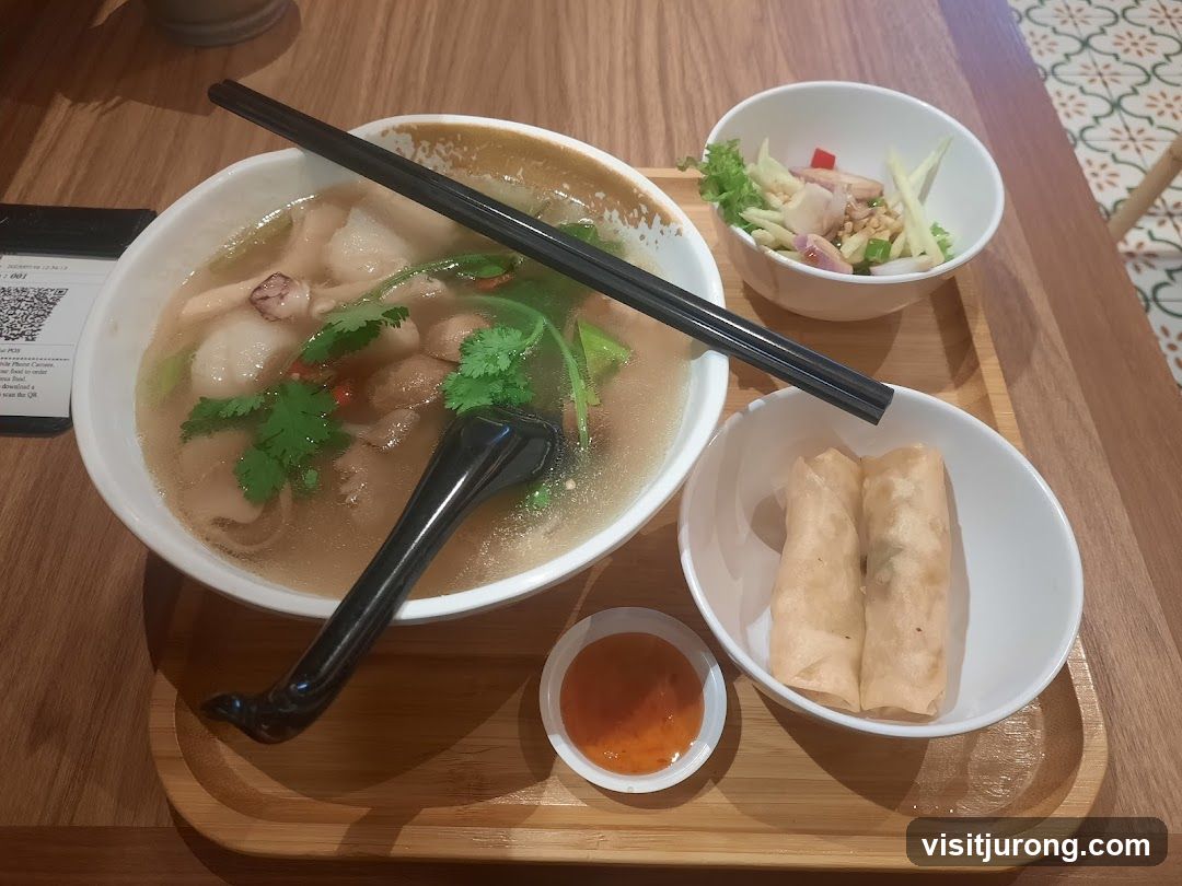 Soup with Spring Rolls and Salad