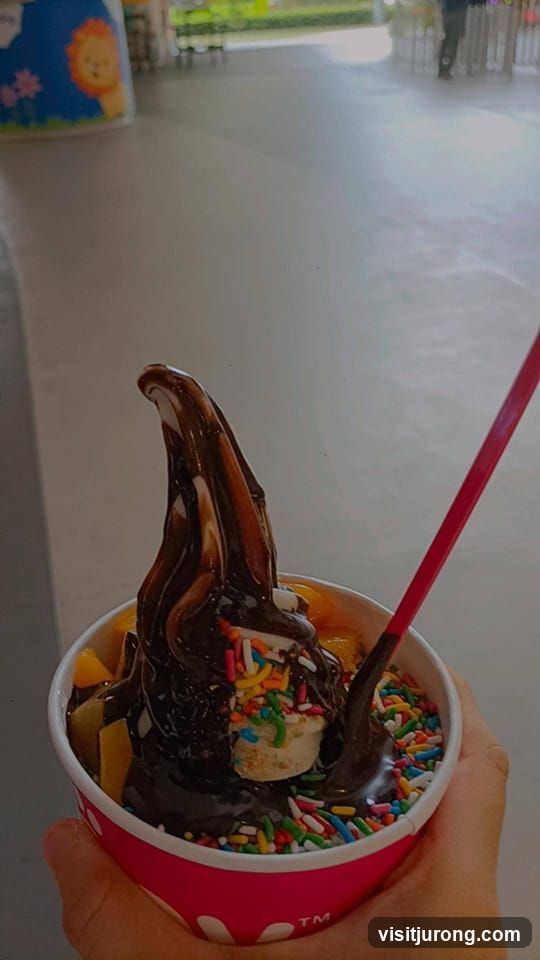 Frozen Yogurt with Toppings
