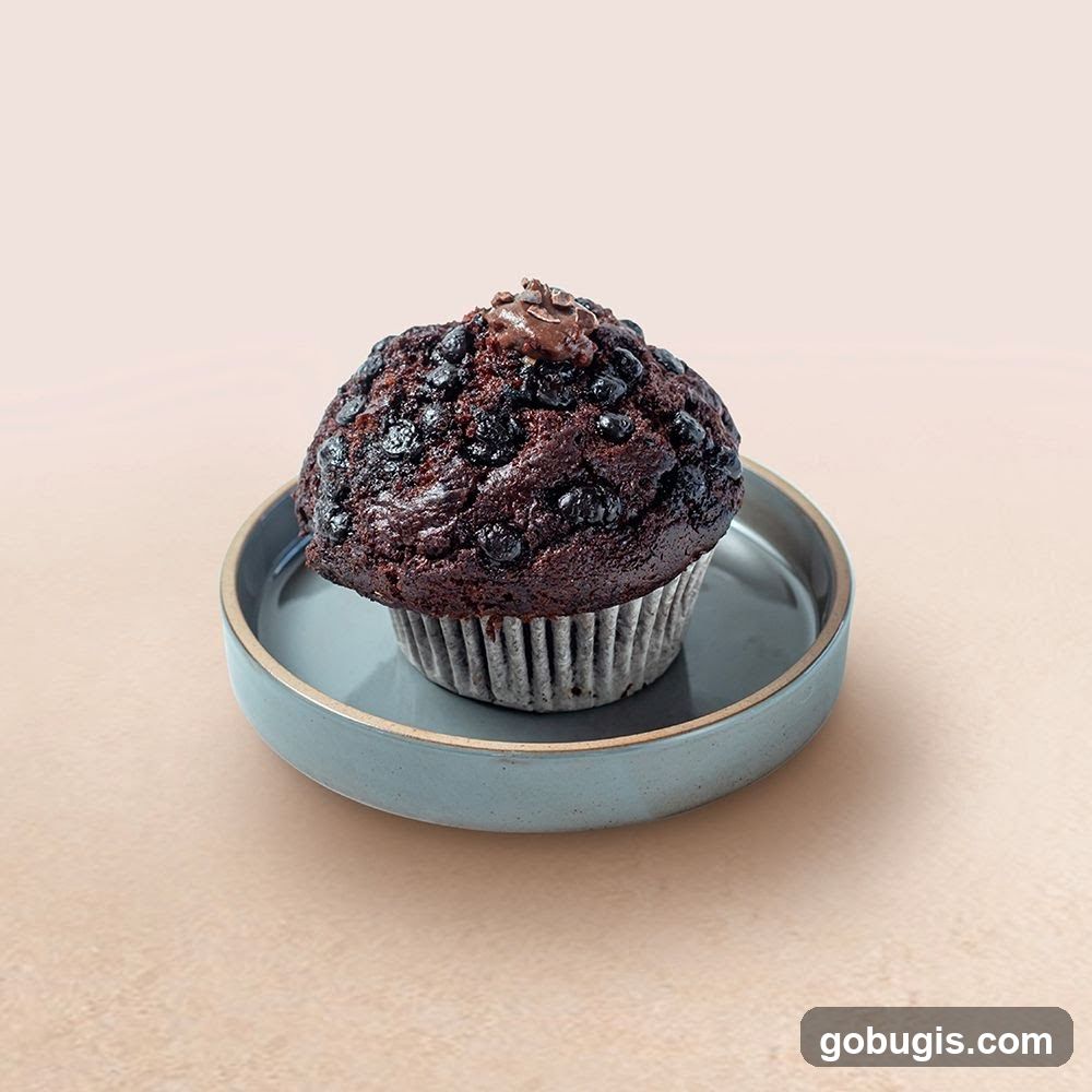 Chocolate muffin