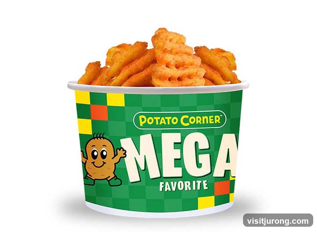 Potato Corner Mega Favorite Fries