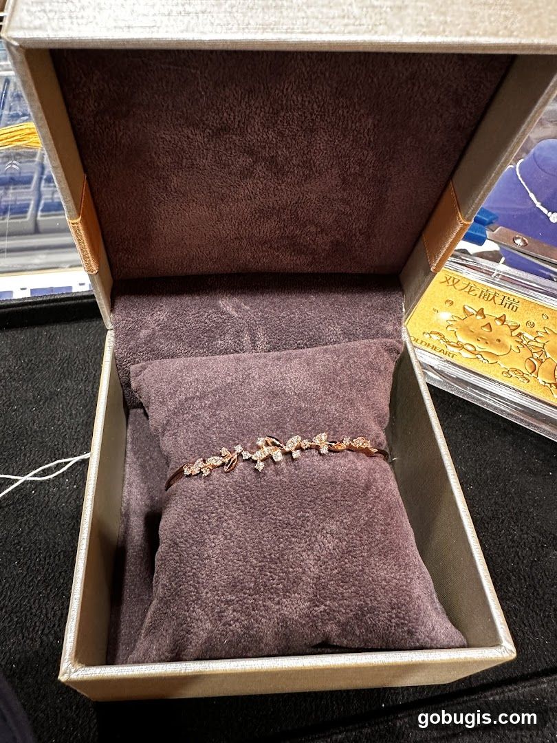 Jewelry Box with Bracelet