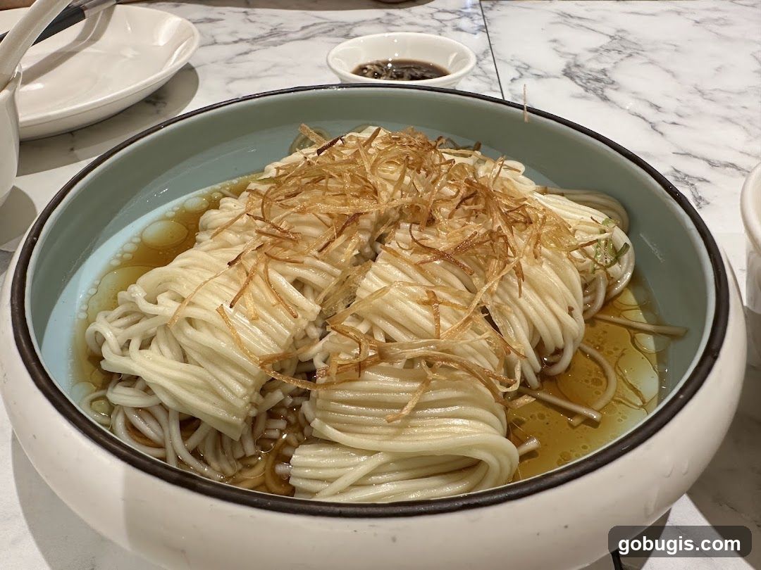 Noodles with Toppings
