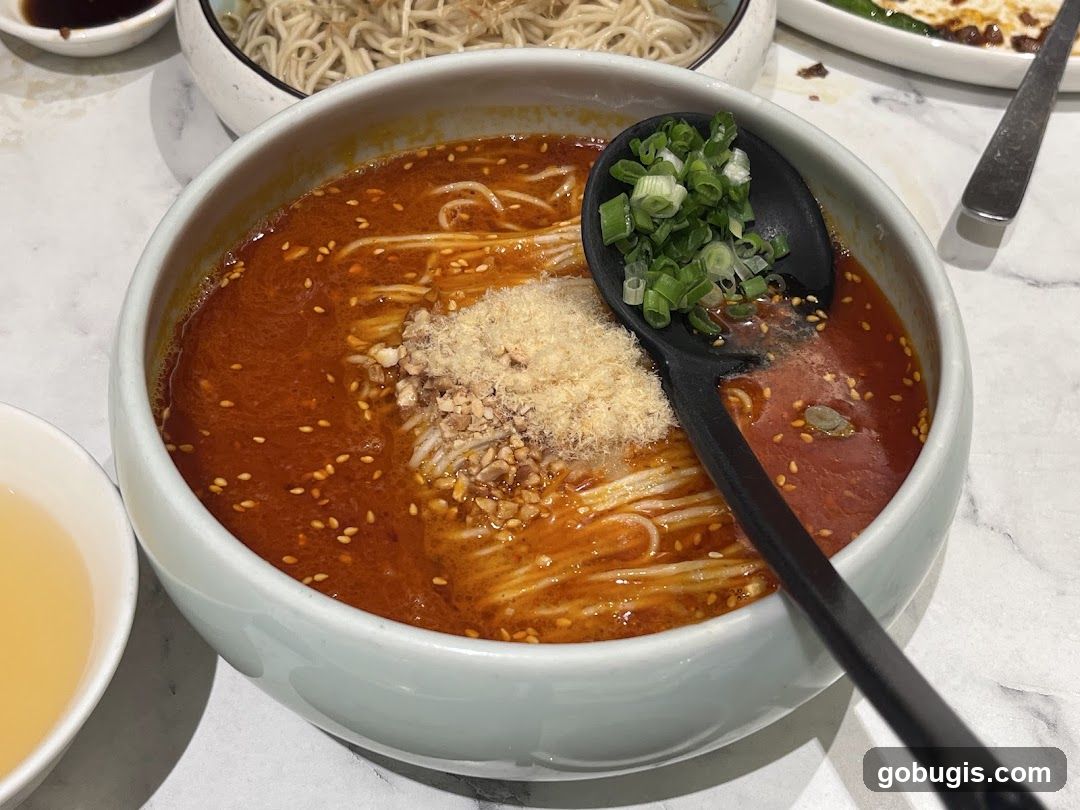 Spicy Noodle Soup