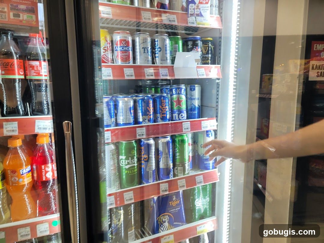 Convenience Store Shelves