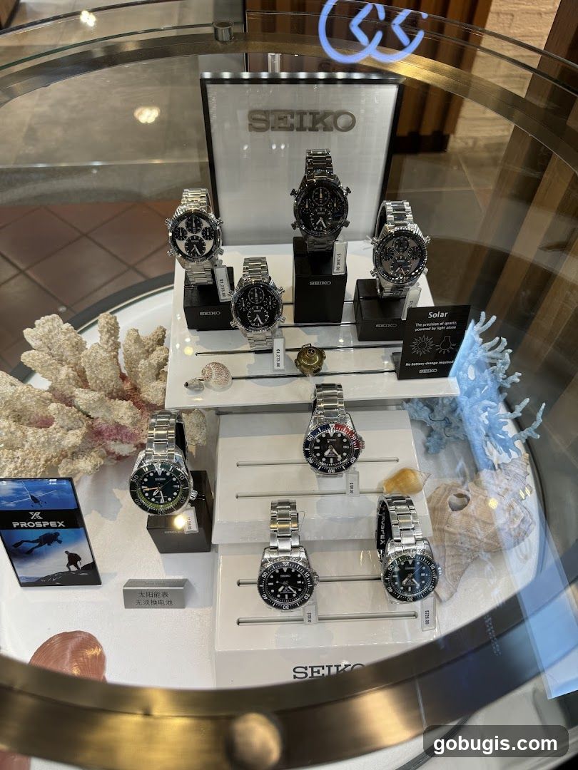 Seiko Watch Display