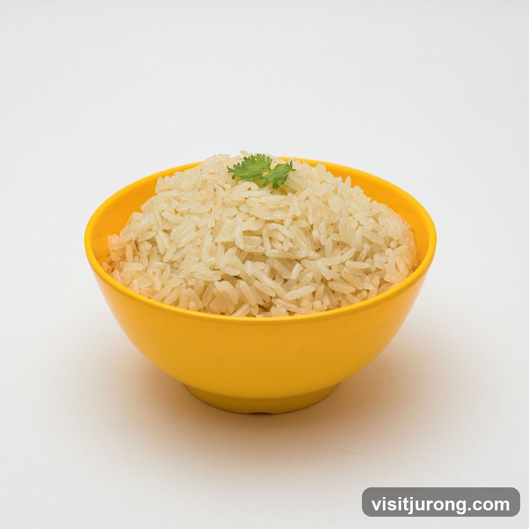 Bowl of Rice