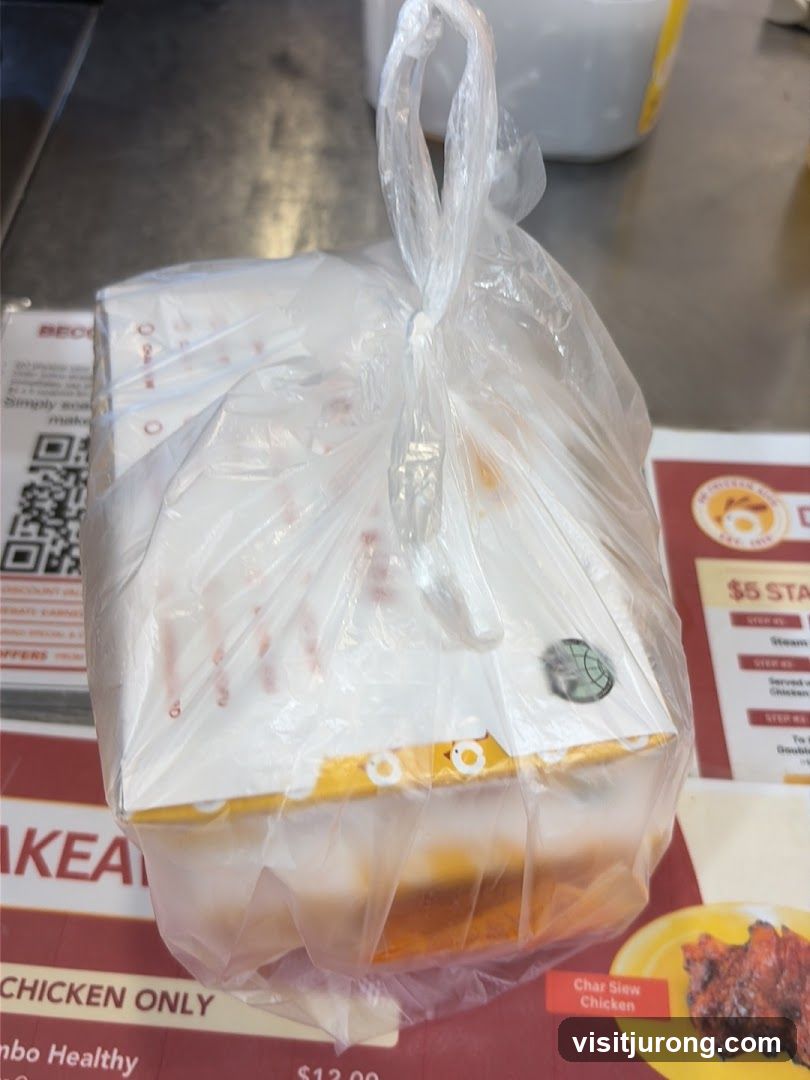 Takeaway Food Bag