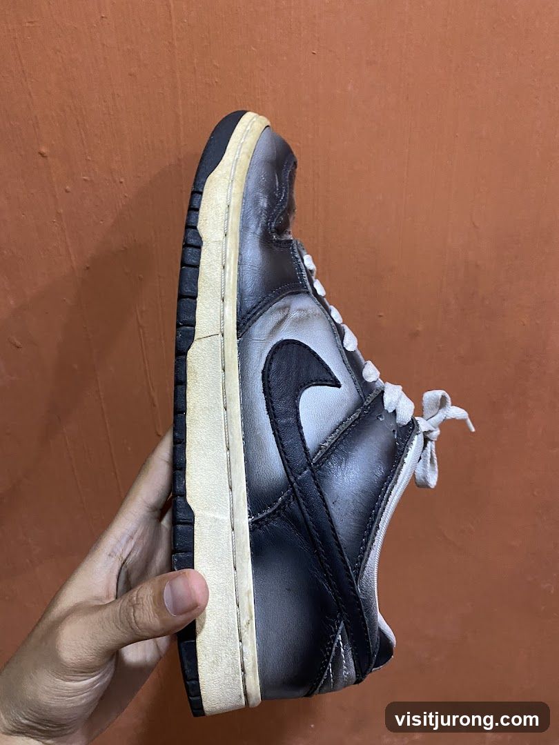 Nike Dunk Low