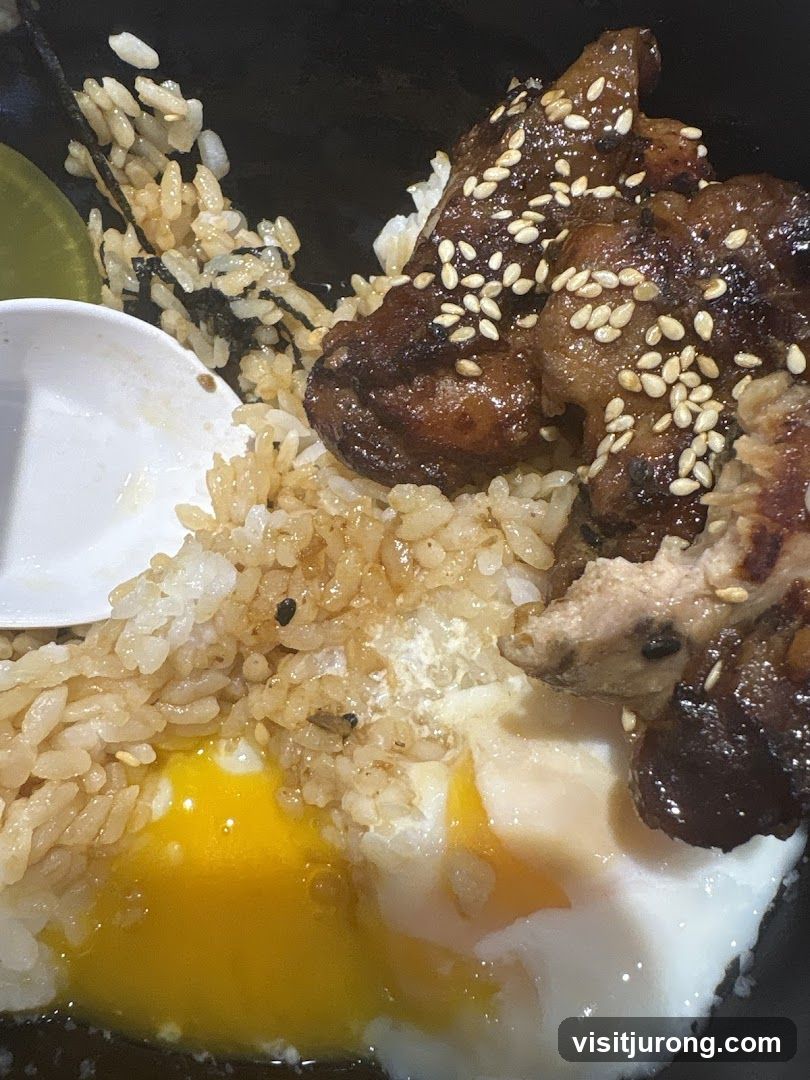 Rice bowl with meat and egg