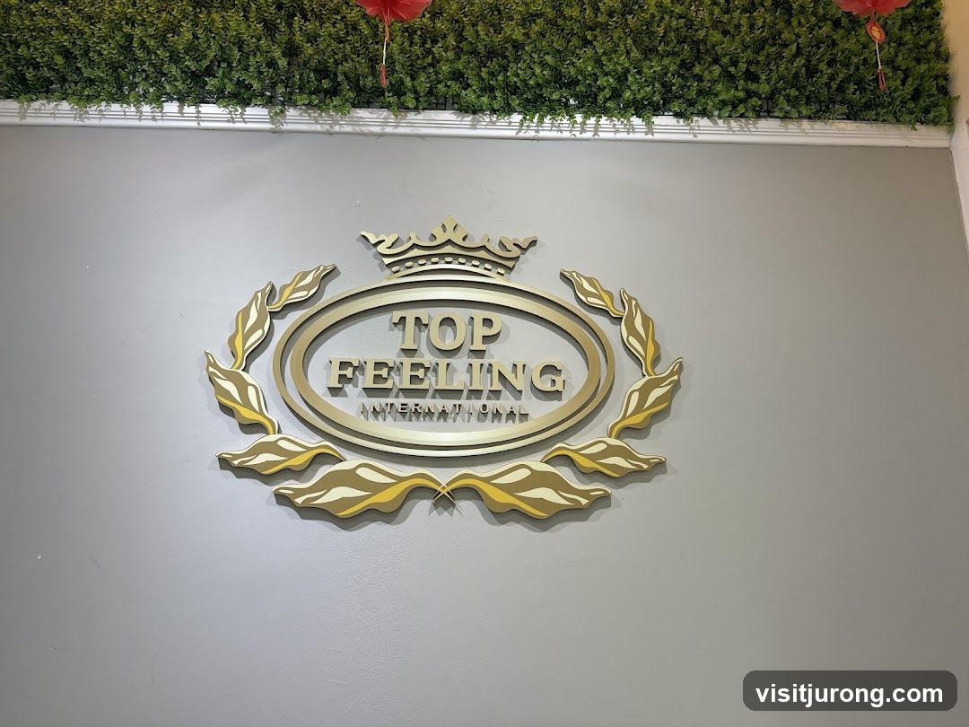 Top Feeling International Logo