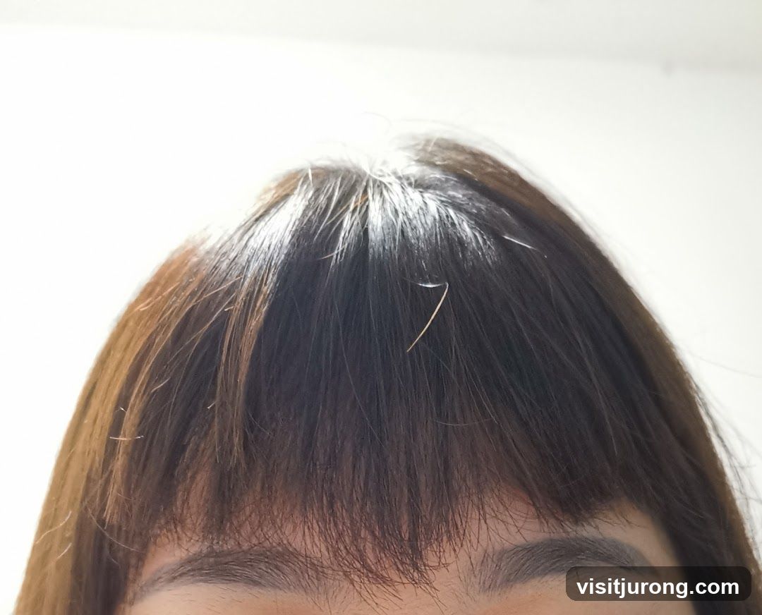 Close-up of a person's hair and eyebrows
