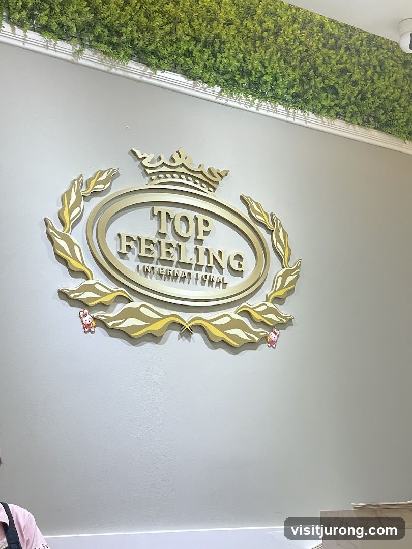 Top Feeling International Logo