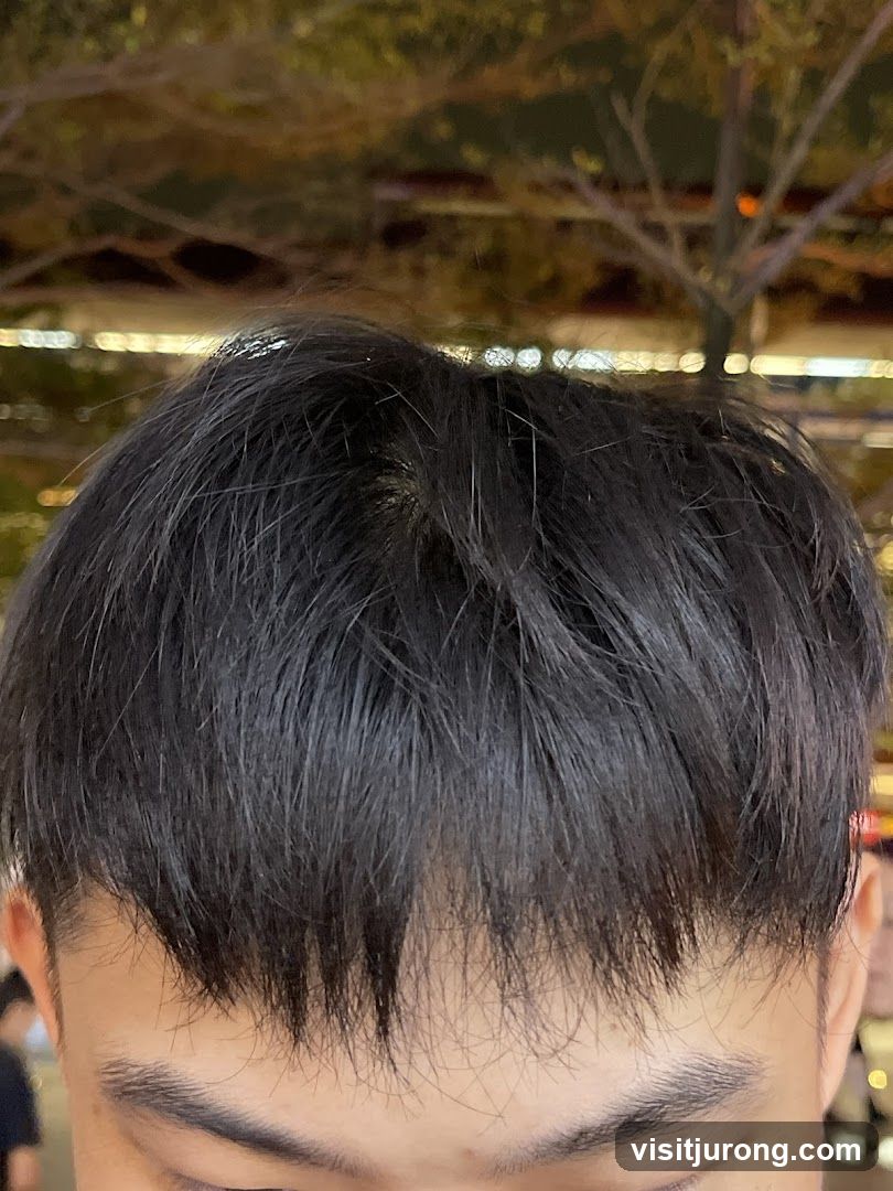 Close-up of a person's hair and forehead