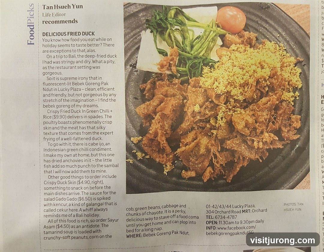 Delicious Fried Duck