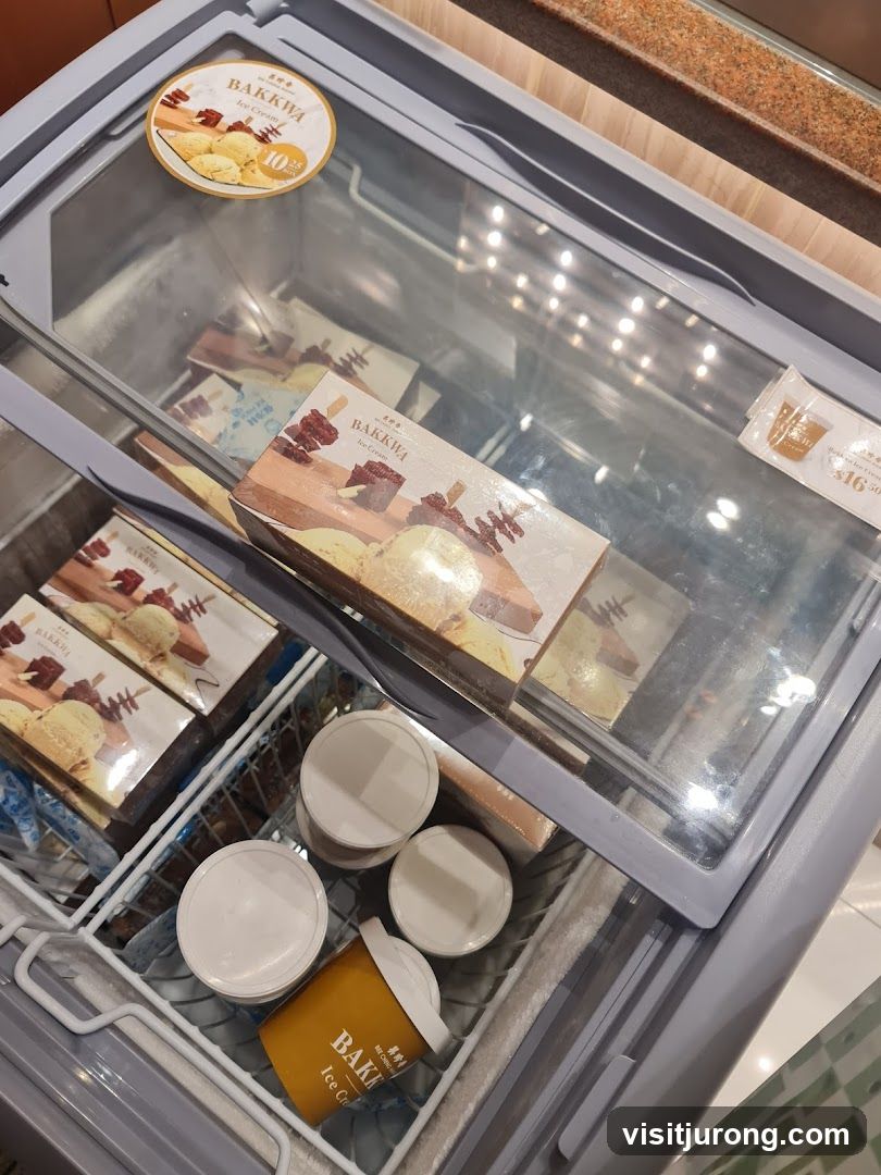 Ice Cream Freezer