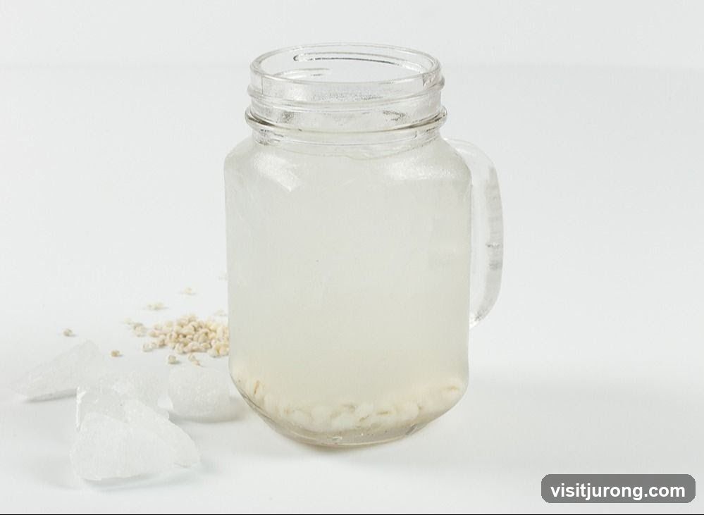 Barley Drink with Ice