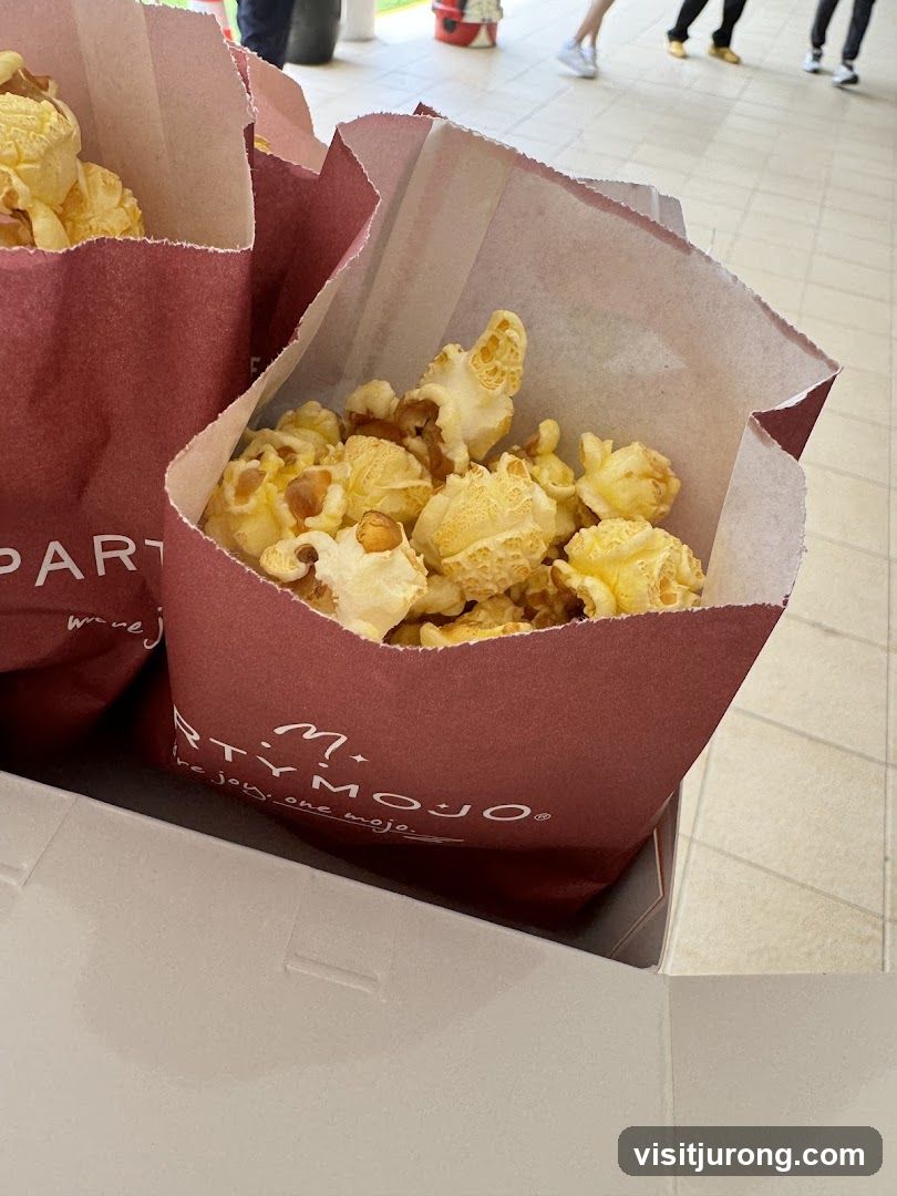 Popcorn Bags