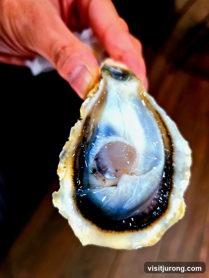 Fresh Oyster