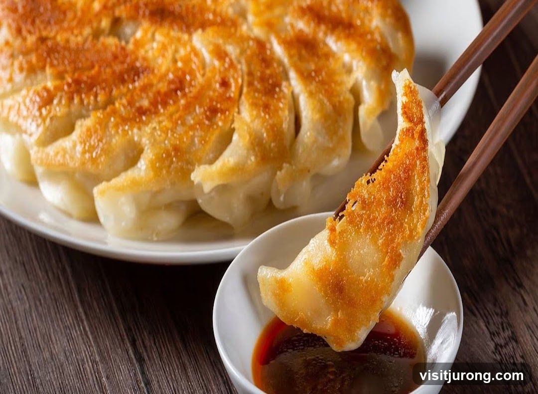 Pan-Fried Dumplings with Dipping Sauce