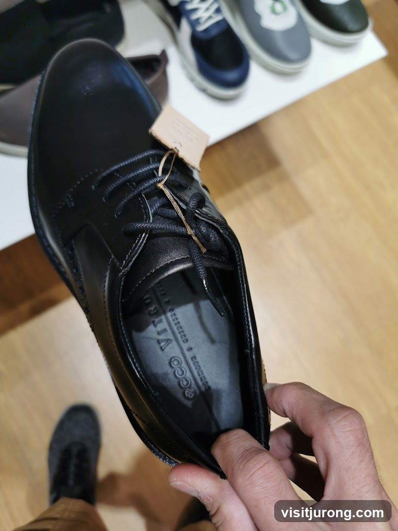 Black Leather Shoe
