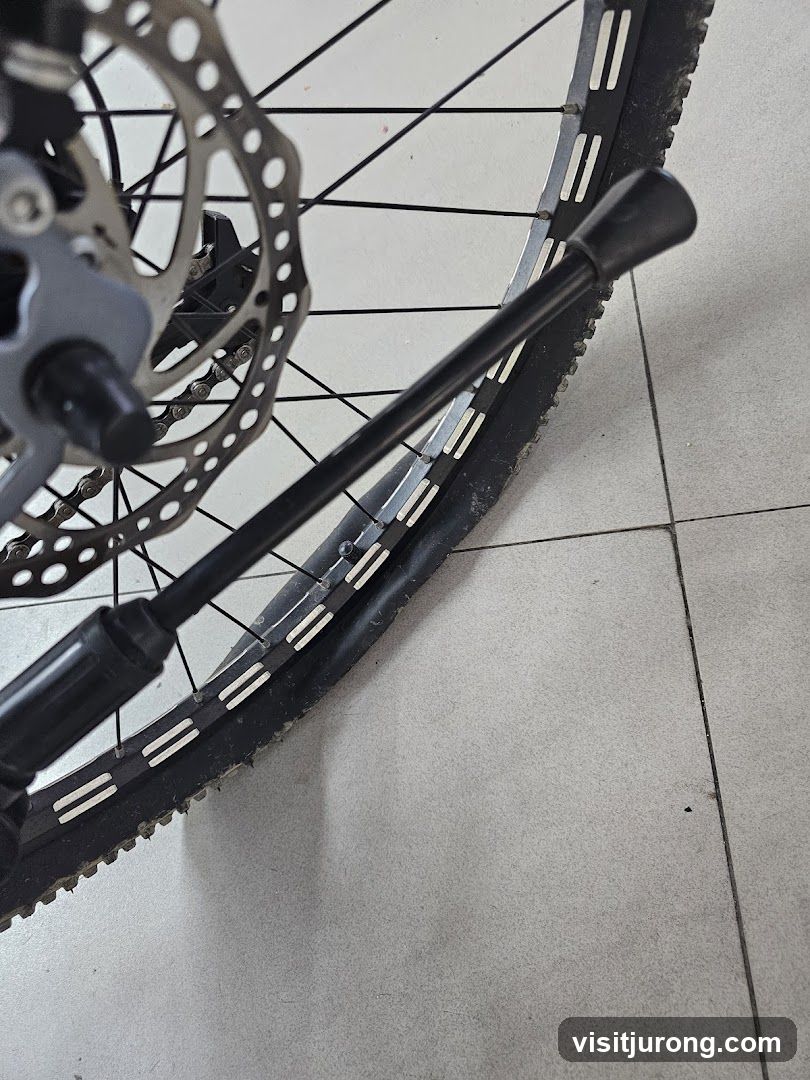 Bicycle Kickstand and Wheel