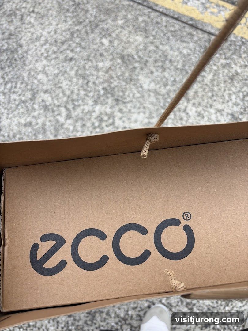 Ecco branded shopping bag and box