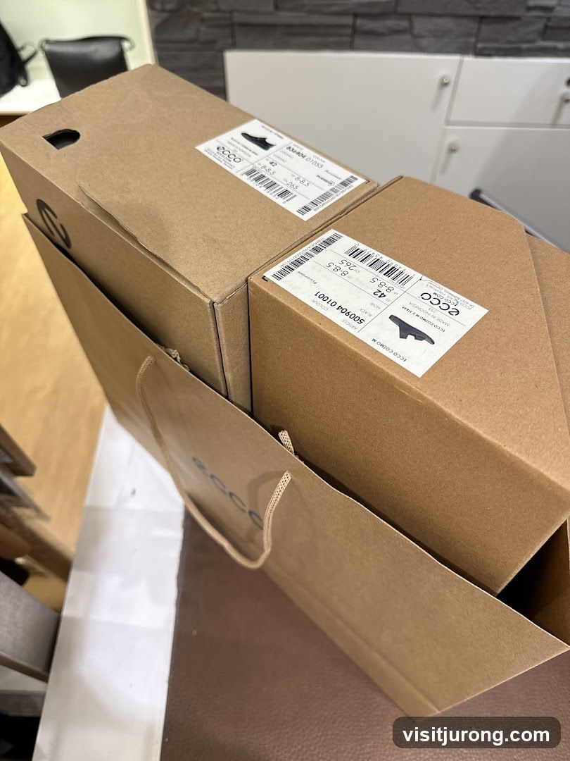 Ecco Shoe Boxes and Bag