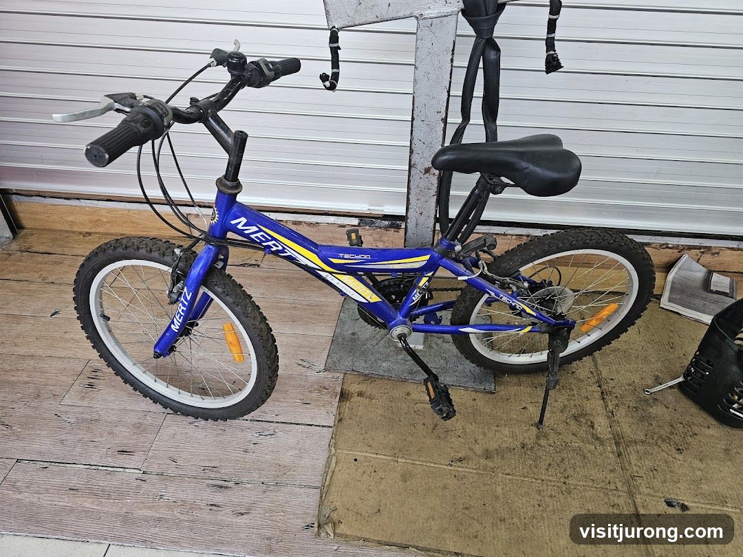 Blue Bicycle