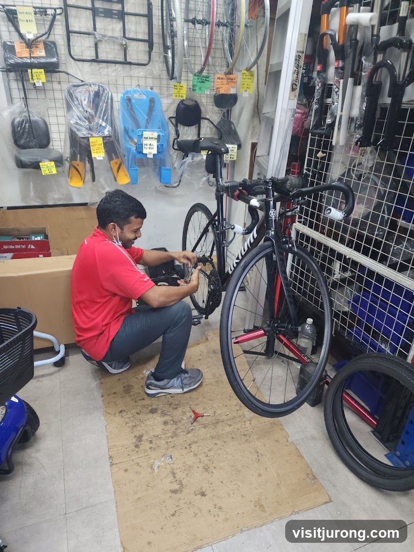 Bicycle Repair