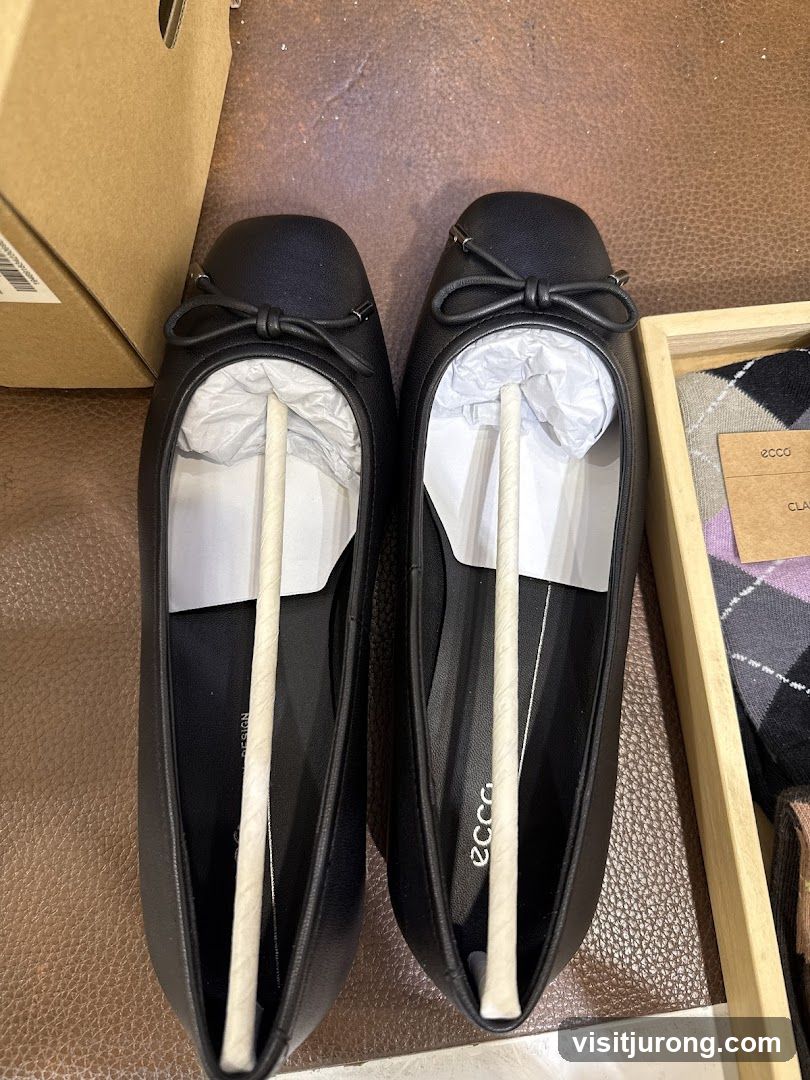 Black Ballet Flats