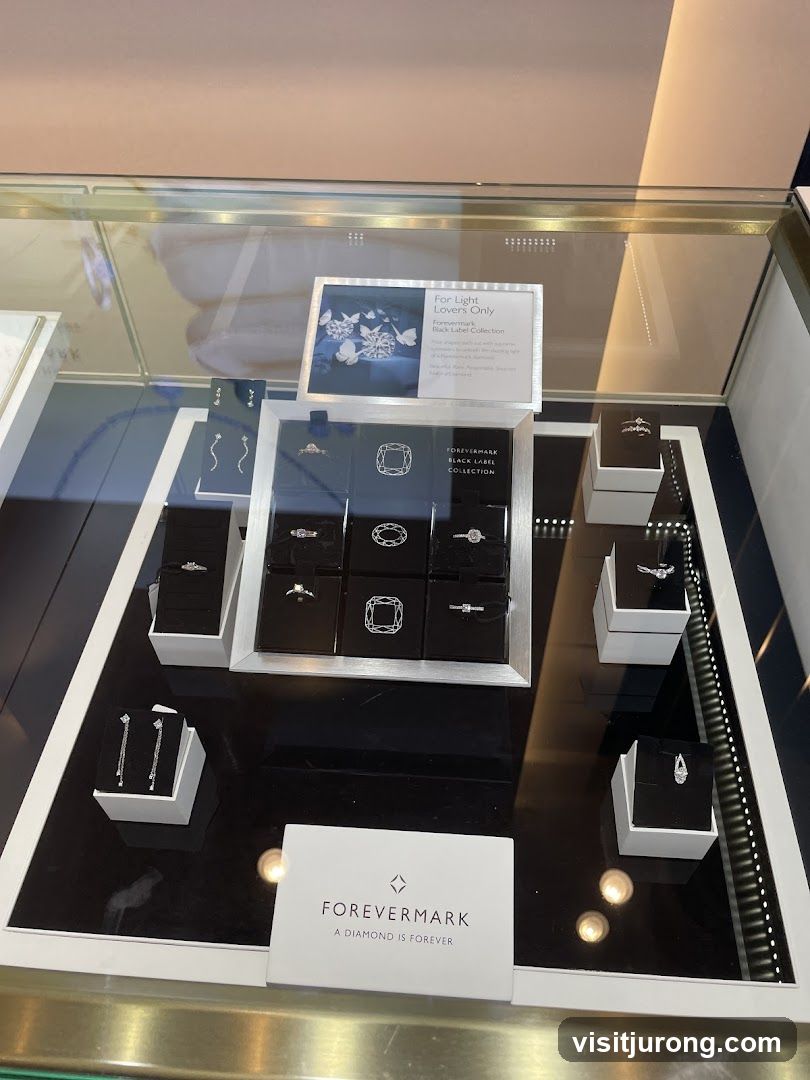Jewelry Display Case