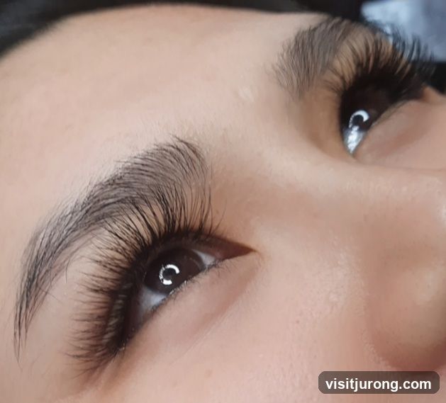 Close-up of Eyelashes