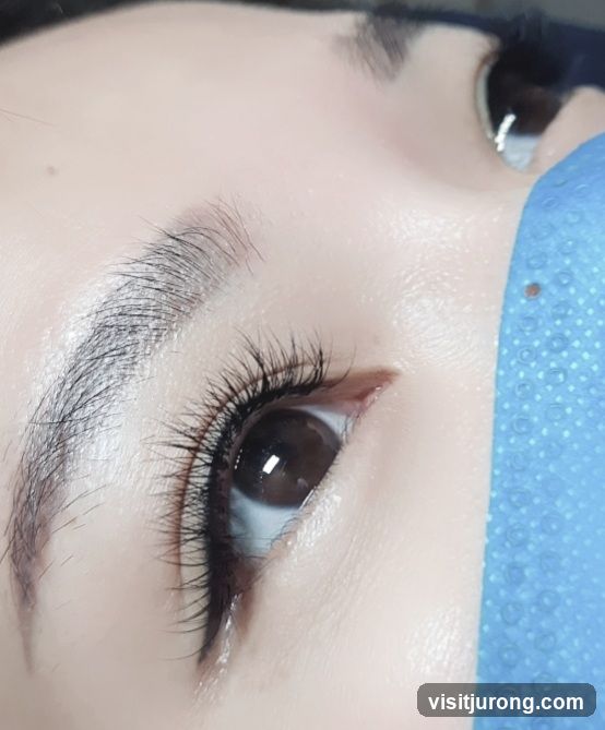 Close-up of Eyelashes