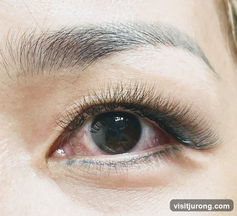 Close-up of an eye with eyelash extensions