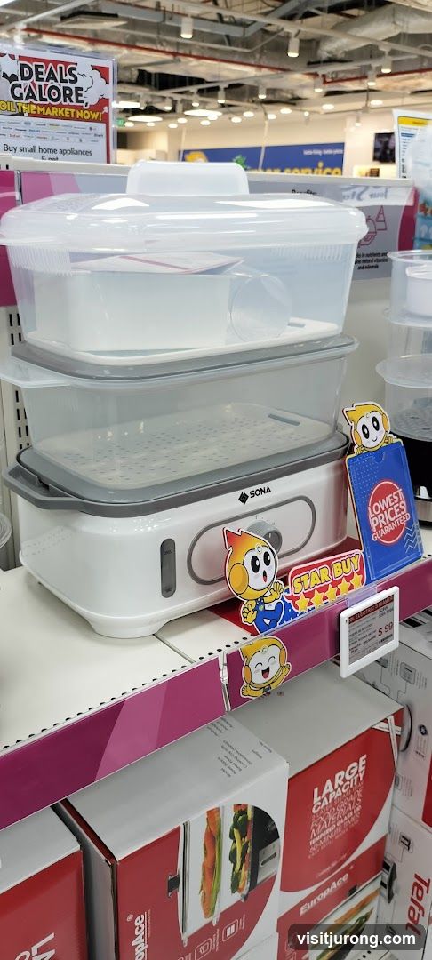 Electric Steamer