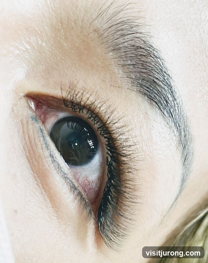 Close-up of an eye with eyelash extensions