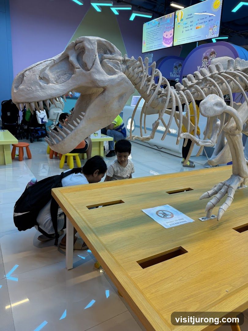 Dinosaur Exhibit