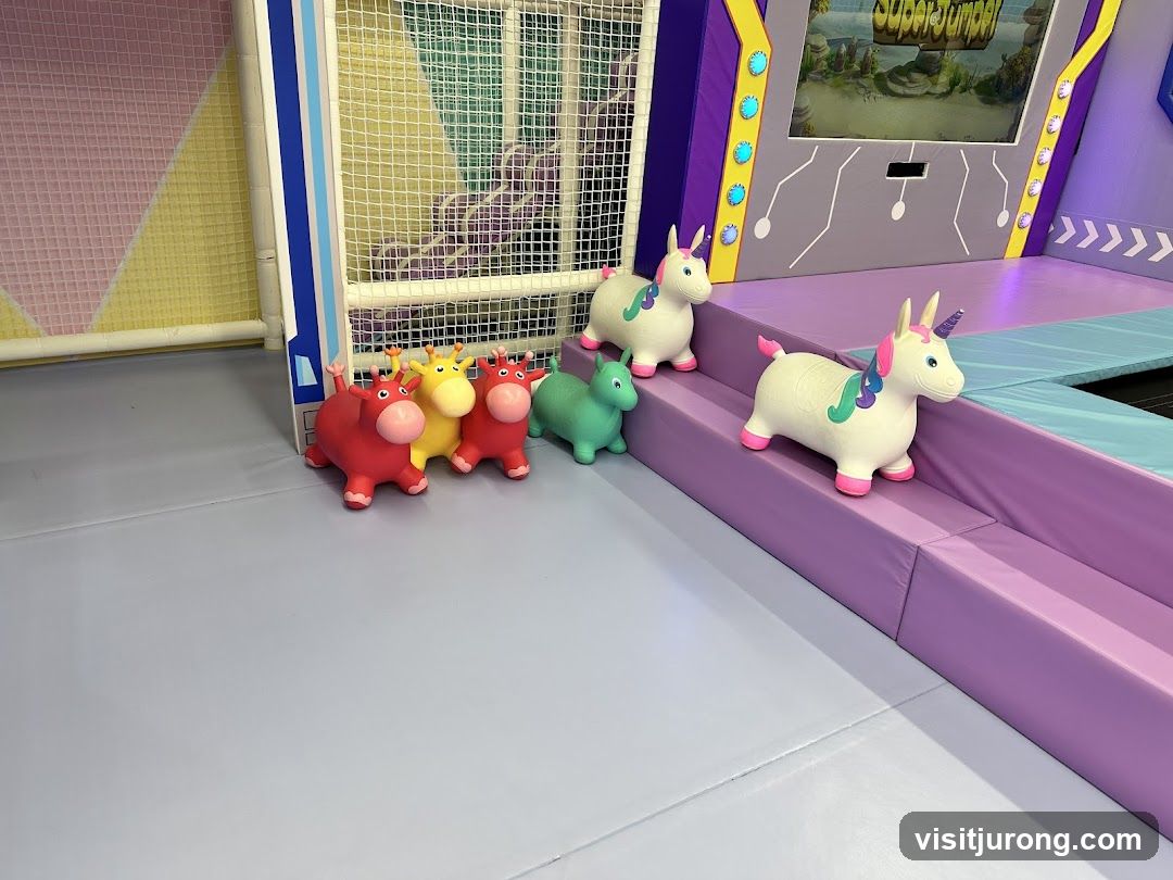 Inflatable Toys in Play Area