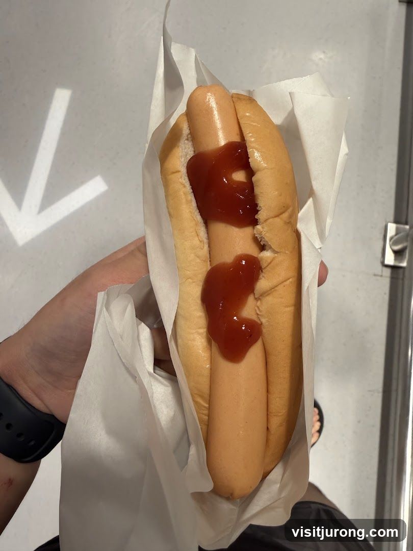 Hot dog with ketchup