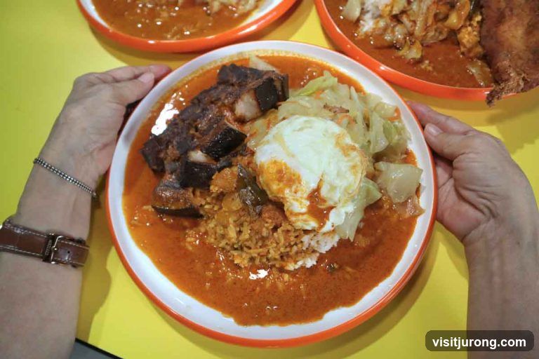Curry Rice with Pork and Egg