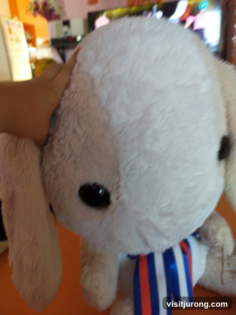 Plush Toy
