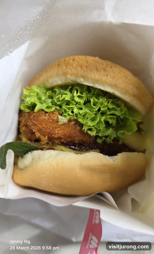 Burger in a wrapper