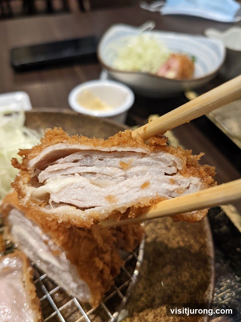 Close-up of Tonkatsu