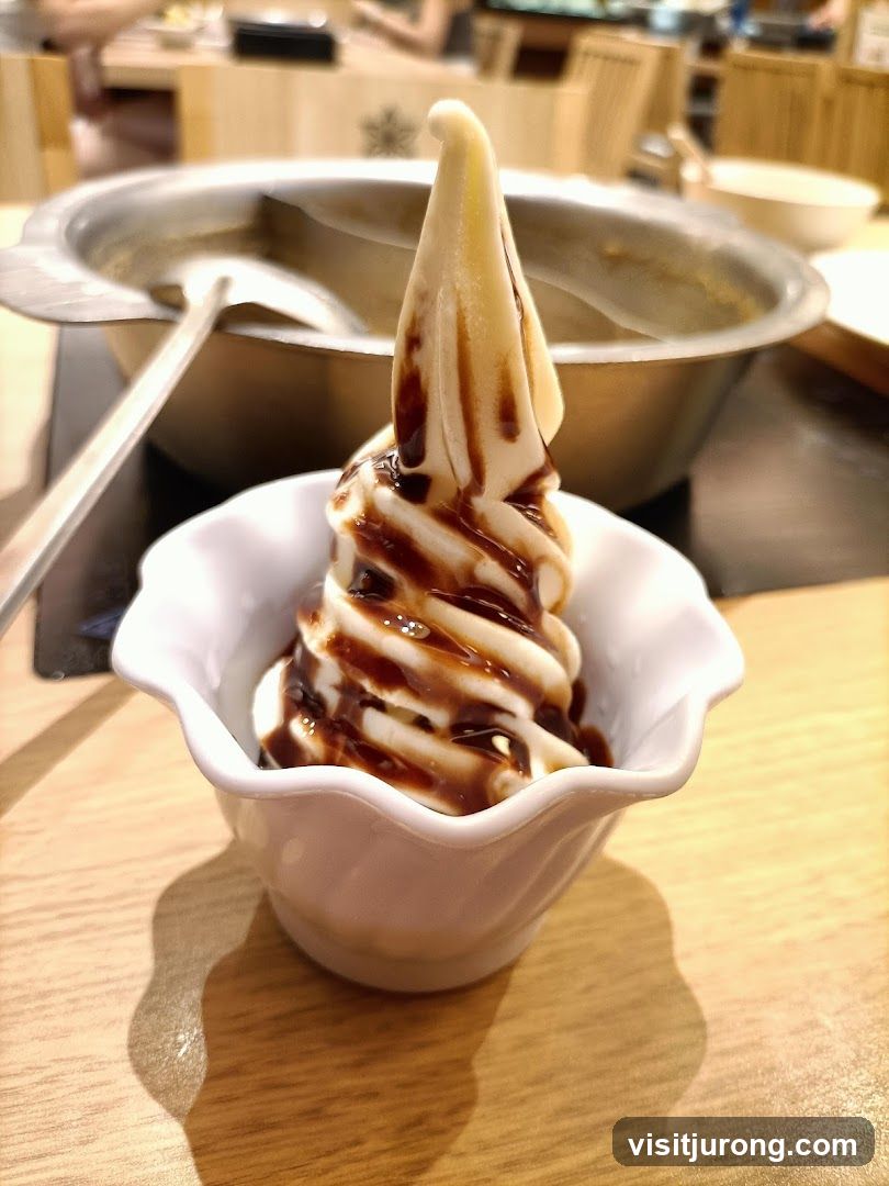 Soft Serve Ice Cream with Chocolate Drizzle