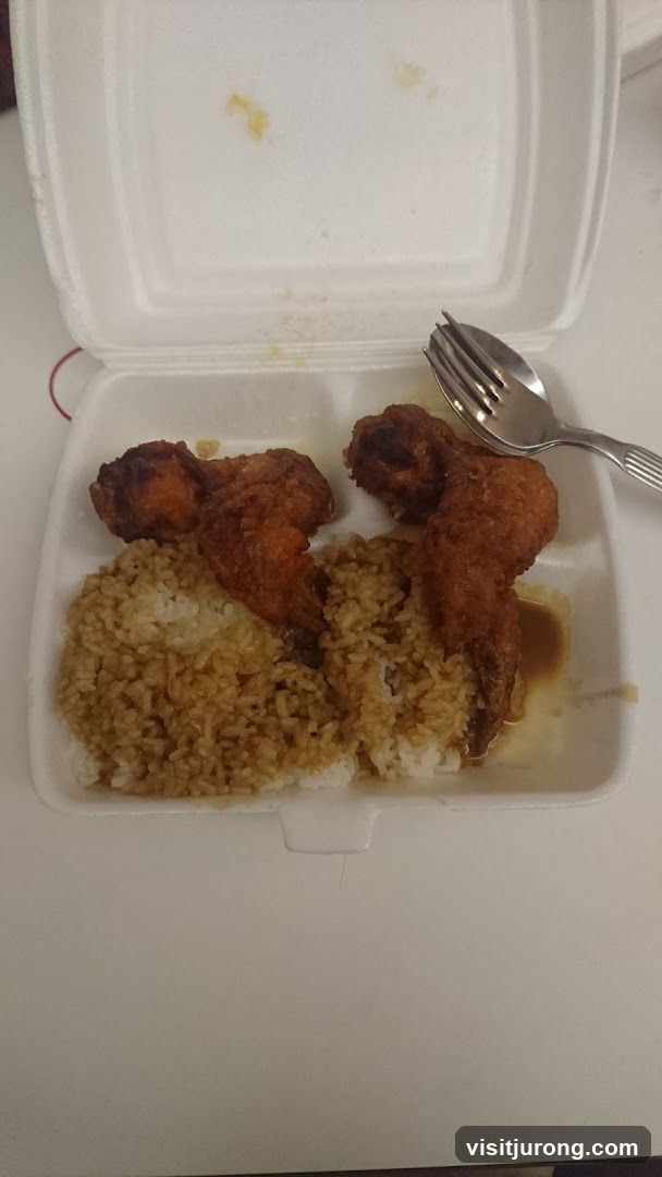 Fried Chicken Wings and Rice
