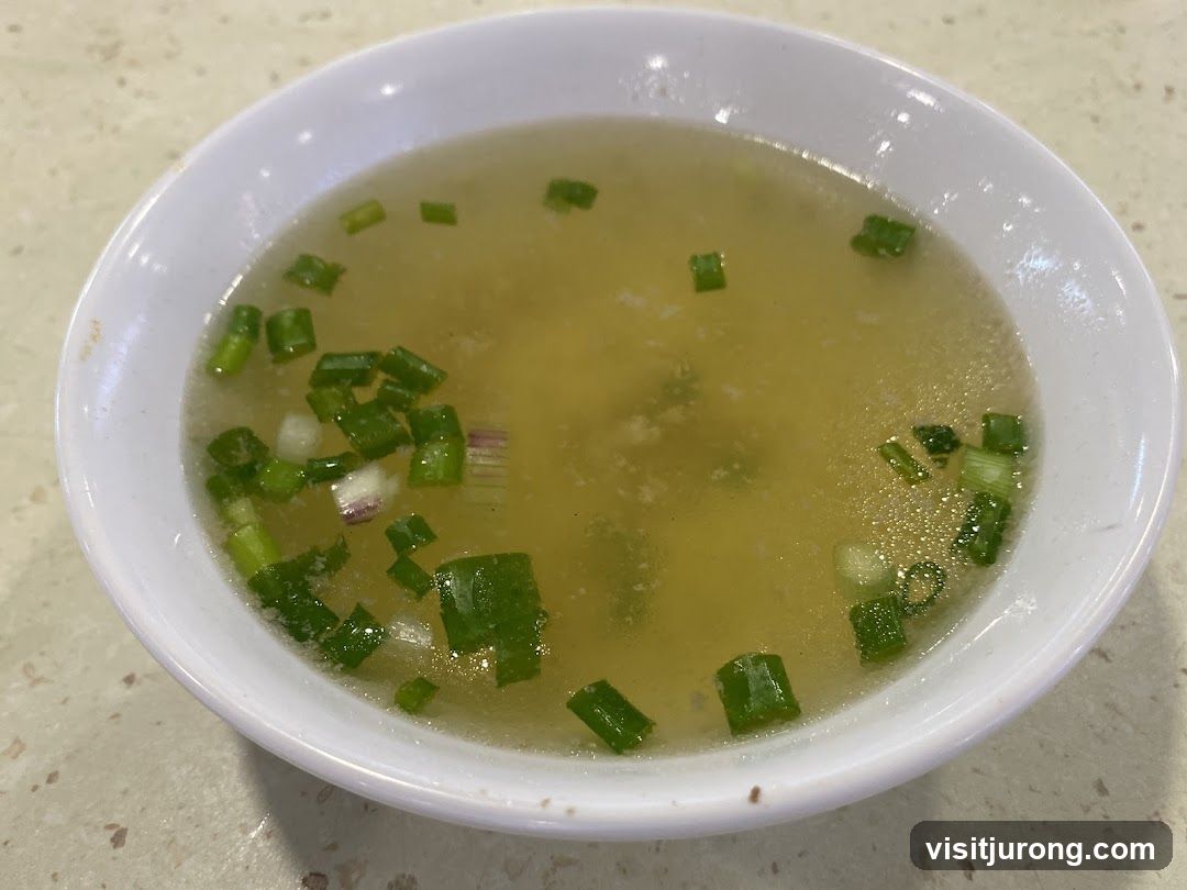 Bowl of Broth with Scallions