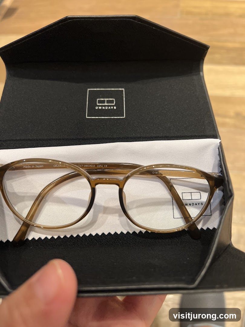 Eyeglasses in a case